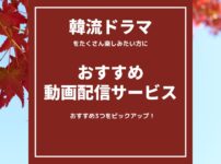 「韓流ドラマ」をたくさん見たい！方にお勧めの動画配信サービス