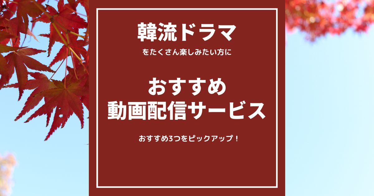 「韓流ドラマ」をたくさん見たい！方にお勧めの動画配信サービス