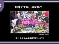 【アニメ】「蜘蛛ですが、なにか？」が見れるお勧め動画配信サービス